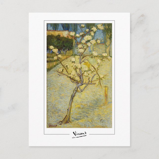 Vincent Van Gogh #37-2 - Fine Art Postcard (Front)
