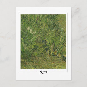 Vincent Van Gogh #50 - Fine Art Postcard