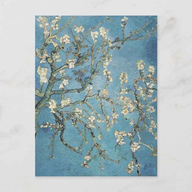Vincent van Gogh | Almond branches in bloom, 1890 Postcard (Front)