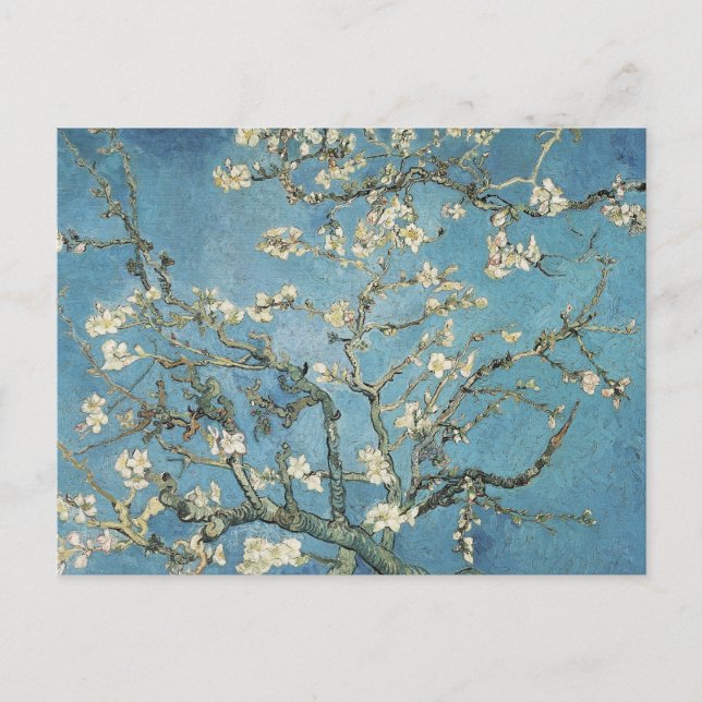 Vincent van Gogh | Almond branches in bloom, 1890 Postcard (Front)