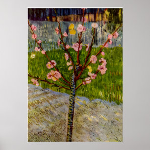 Vincent Van Gogh art Poster