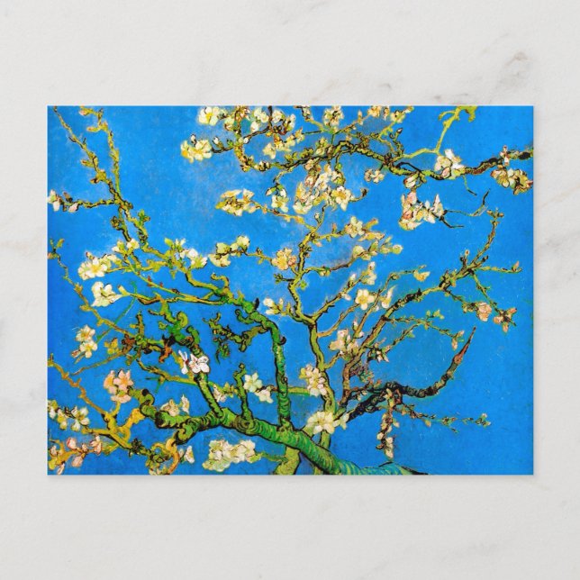 Vincent Van Gogh - Blossoming Almond Tree Fine Art Postcard (Front)