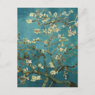 Vincent Van Gogh - Blossoming Almond Tree Postcard