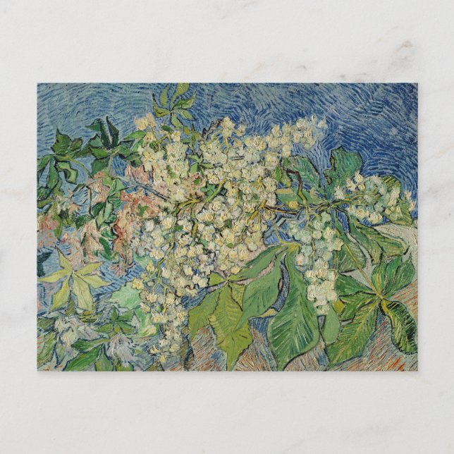 Vincent van Gogh | Blossoming Chestnut Branches Postcard (Front)