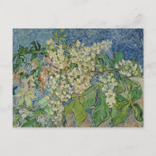 Vincent van Gogh Blossoming Chestnut Branches Postcard