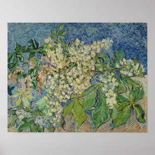 Vincent van Gogh   Blossoming Chestnut Branches Poster