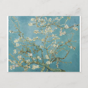 Vincent Van Gogh Branches of Almond Tree Postcard