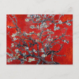 Vincent van Gogh Branches with Almond Blossom Postcard