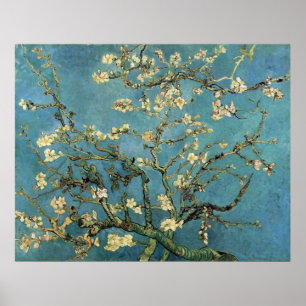Vincent van Gogh Branches with Almond Blossom Poster