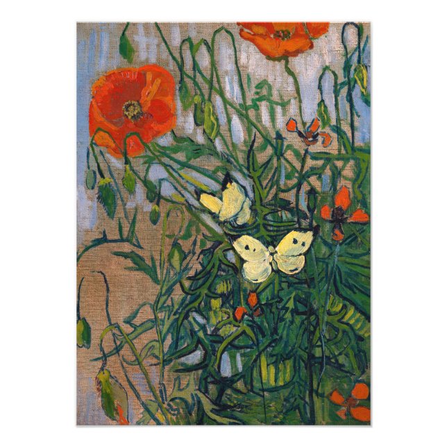Vincent van Gogh - Butterflies and Poppies Photo Print (Front)