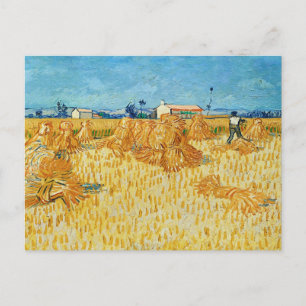 Vincent Van Gogh, Corn Harvest in Provence Postcard