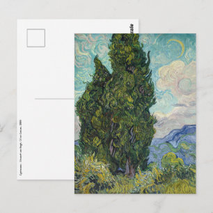 Vincent van Gogh - Cypresses Postcard