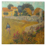 Vincent van Gogh | Farmhouse in Provence, 1888 Tile<br><div class="desc">Farmhouse in Provence,  1888 (oil on canvas)| by  Vincent van Gogh | Art Location: National Gallery of Art Washington DC| Dutch Artist | Image Collection Number: XOS746459</div>