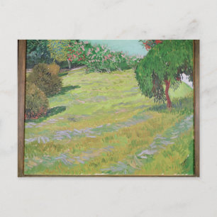 Vincent van Gogh Field in Sunlight, 1888 Postcard