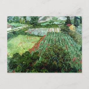 Vincent van Gogh   Field with Poppies, 1889 Postcard