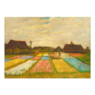 Vincent van Gogh Flower Beds in Holland Photo Print