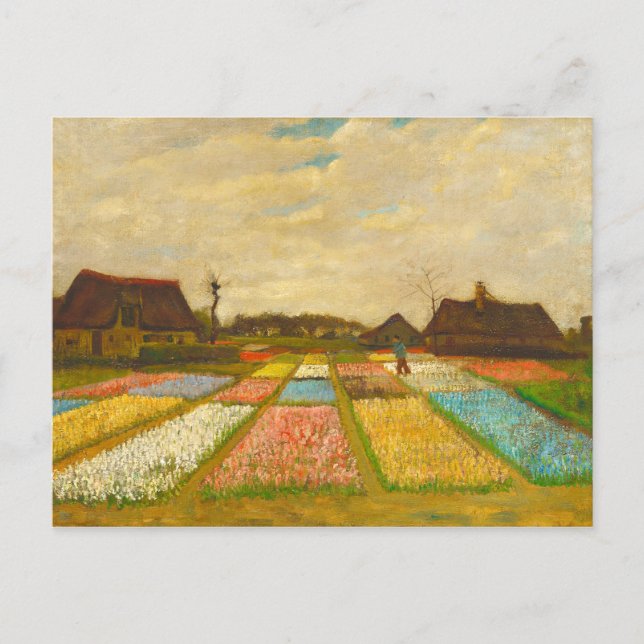 Vincent van Gogh Flower Beds in Holland Postcard (Front)