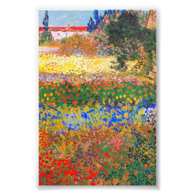 Vincent Van Gogh Flowering Garden Photo Print (Front)