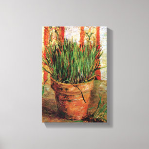 Vincent Van Gogh - Flowerpot With Chives Canvas Print