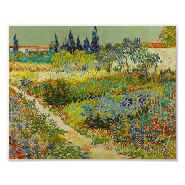Vincent Van Gogh Garden at Arles Photo Print (Front)