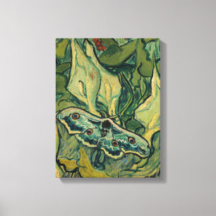 Vincent van Gogh - Giant Peacock Moth Canvas Print