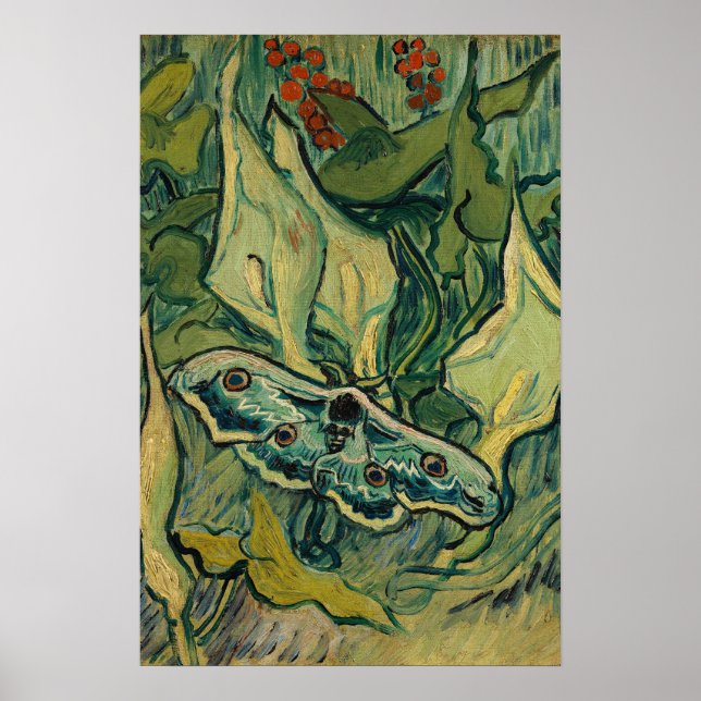 Vincent van Gogh - Giant Peacock Moth Poster (Front)