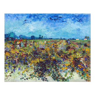 Vincent van Gogh - Green Vineyard Photo Print