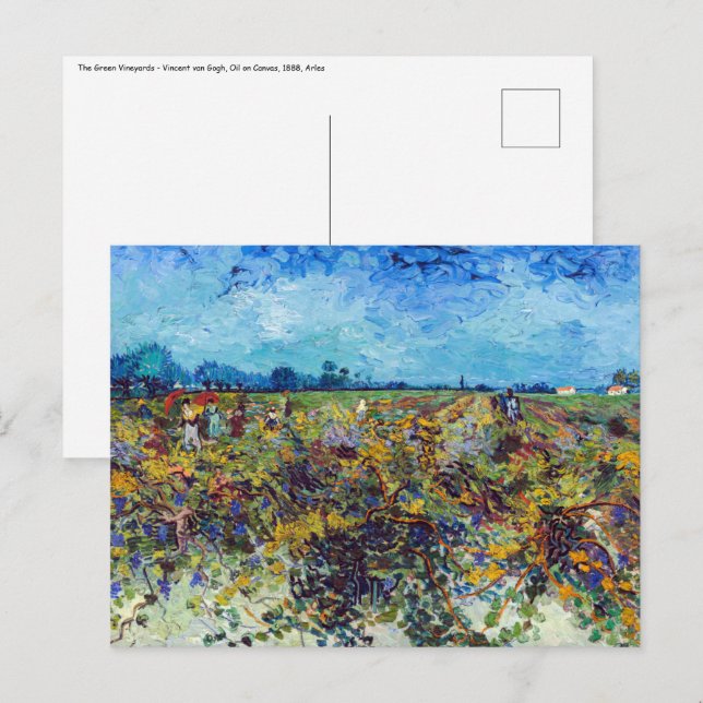 Vincent van Gogh - Green Vineyard Postcard (Front/Back)