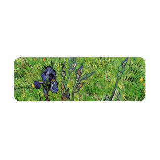 Vincent van Gogh - Iris