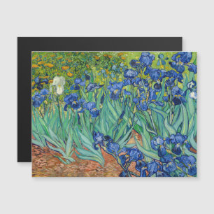 Vincent Van Gogh - Irises