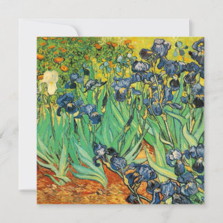 Vincent van Gogh,Irises