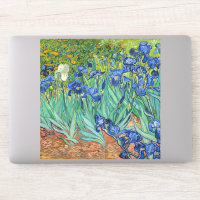 Vincent Van Gogh - Irises