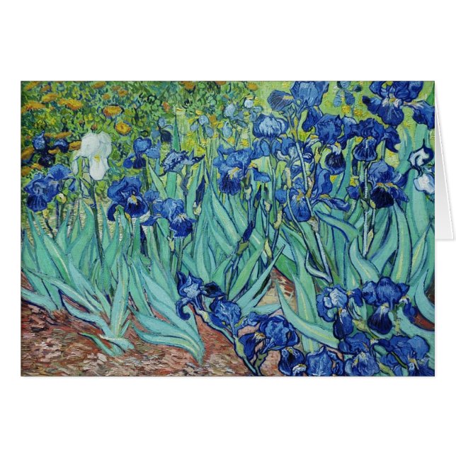 Vincent van Gogh Irises (Front Horizontal)