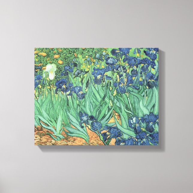 Vincent van Gogh | Irises, 1889 Canvas Print (Front)