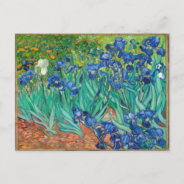 VINCENT VAN GOGH - Irises 1889 Postcard (Front)