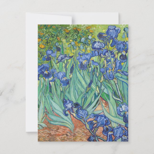 Vincent Van Gogh - Irises 1889 Thank You Card (Front)