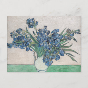 Vincent Van Gogh Irises, 1890 Postcard