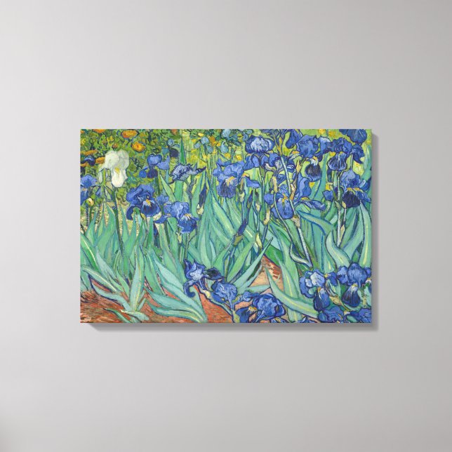 Vincent van Gogh - Irises Canvas Print (Front)