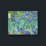 Vincent van Gogh - Irises Canvas Print<br><div class="desc">Vincent van Gogh - Irises - 1889 - oil painting</div>