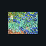 Vincent Van Gogh - Irises Canvas Print<br><div class="desc">Irises / Iris - Vincent Van Gogh,  1889</div>