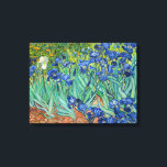 Vincent Van Gogh - Irises Canvas Print<br><div class="desc">Irises / Iris - Vincent Van Gogh,  1889</div>