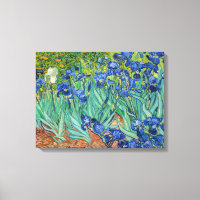 Vincent Van Gogh - Irises