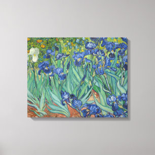 Vincent van Gogh - Irises Canvas Print