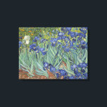 Vincent Van Gogh Irises Canvas Print<br><div class="desc">In May 1889, after episodes of self-mutilation and hospitalisation, Vincent van Gogh chose to enter an asylum in Saint-Rémy, France. There, in the last year before his death, he created almost 130 paintings. Within the first week, he began Irises, working from nature in the asylum's garden. The cropped composition, divided...</div>
