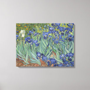 Vincent Van Gogh Irises Canvas Print