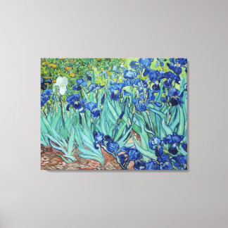 Vincent van Gogh, Irises. Famous vintage impressio Canvas Print