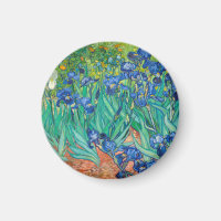 Vincent Van Gogh Irises Floral Vintage Fine Art