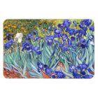 Vincent Van Gogh Irises Floral Vintage Fine Art