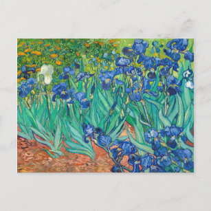 Vincent Van Gogh Irises Floral Vintage Fine Art Postcard