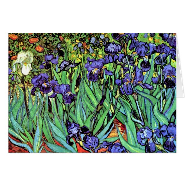 Vincent Van Gogh - Irises - Flower Lover Fine Art (Front Horizontal)